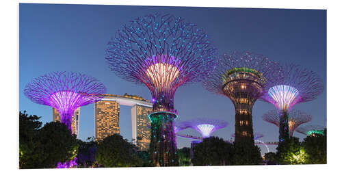 Hartschaumbild Supertrees bei Nacht, Singapur