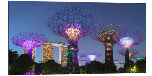 Gallery print Supertrees by night, Singapore