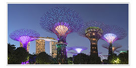 Poster  Supertree di notte, Singapore - Markus Lange