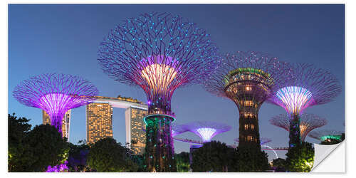 Selvklæbende plakat Supertrees by night, Singapore