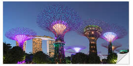 Selvklebende plakat Supertrees by night, Singapore