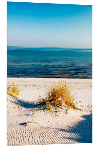 Foam board print Dunes and the sea