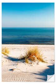 Naklejka na ścianę Dunes and the sea