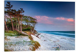 Gallery print Evening mood on the west beach on the Darß