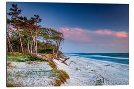Magnettafel Abendstimmung am Weststrand auf dem Darß