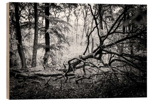 Wood print Jungle on the Darß, black and white