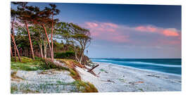 Foam board print Evening mood on the west beach