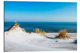 Alubild Dünenlandschaft an der Ostseeküste