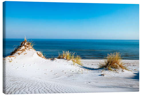 Canvas print Dune landscape on the Baltic coast