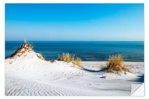 Naklejka na ścianę Dune landscape on the Baltic coast