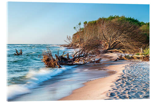 Acrylic print Trees on the beach