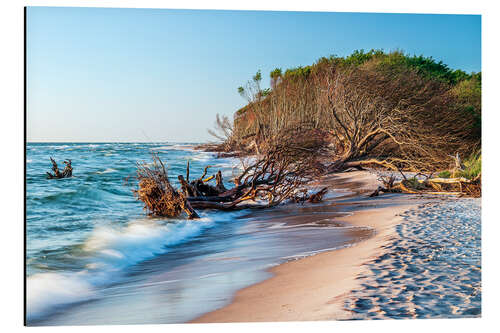 Aluminiumsbilde Trees on the beach