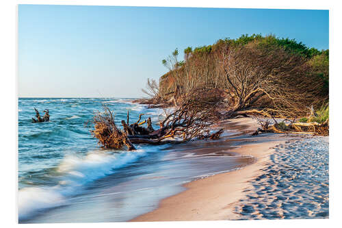 PVC-tavla Trees on the beach