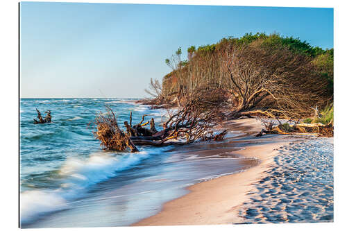 Gallery print Trees on the beach