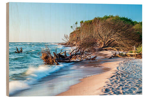 Wood print Trees on the beach