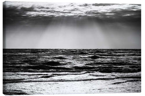 Lienzo Vista del mar Báltico, blanco y negro