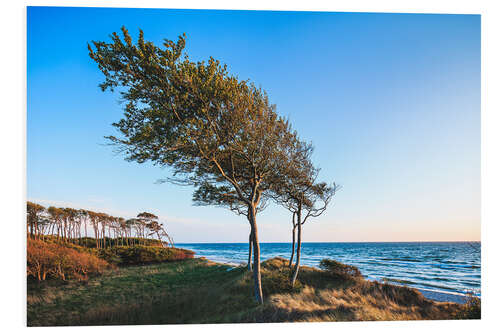 PVC print West beach on the Darß, Baltic Sea coast