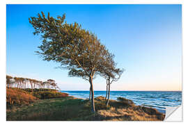 Selvklebende plakat West beach on the Darß, Baltic Sea coast