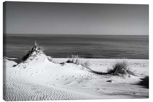 Canvas print Dunes on the Baltic Sea I, black and white