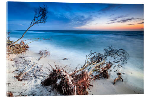 Acrylic print Evening mood on the Baltic coast