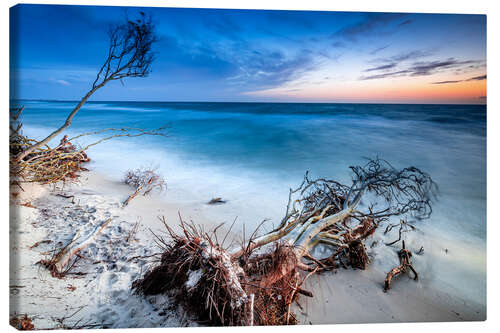 Canvas print Evening mood on the Baltic coast