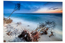 Foam board print Evening mood on the Baltic coast