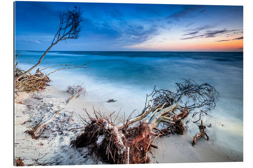 Gallery print Evening mood on the Baltic coast