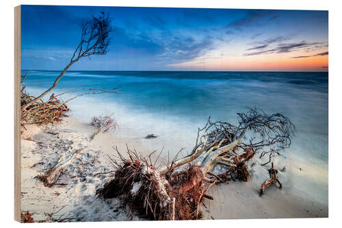 Wood print Evening mood on the Baltic coast