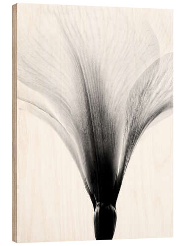 Tableau en bois Amaryllis