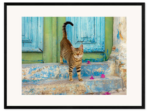 Framed art print Kitten in front of a blue wooden door