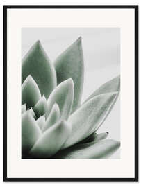 Gerahmter Kunstdruck Sukkulentenblätter