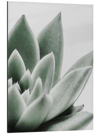 Magnettafel Sukkulentenblätter