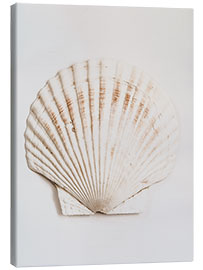 Canvas print Shell