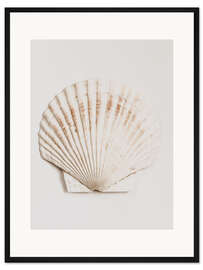 Gerahmter Kunstdruck Muschel