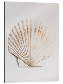 Gallery print Shell