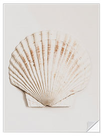 Wall sticker Shell