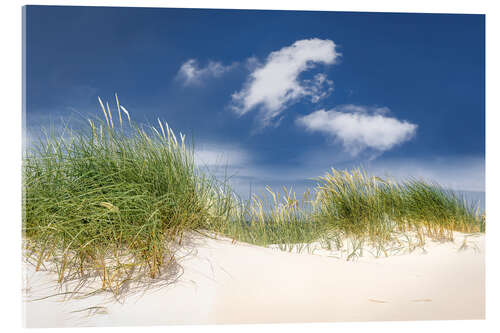 Acrylglasbild Sonnige Dünenlandschaft am Strand der Ostsee