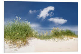 Aluminium print Sunny dune landscape on the beach on the Baltic Sea