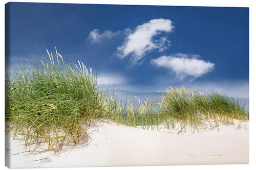 Leinwandbild Sonnige Dünenlandschaft am Strand der Ostsee