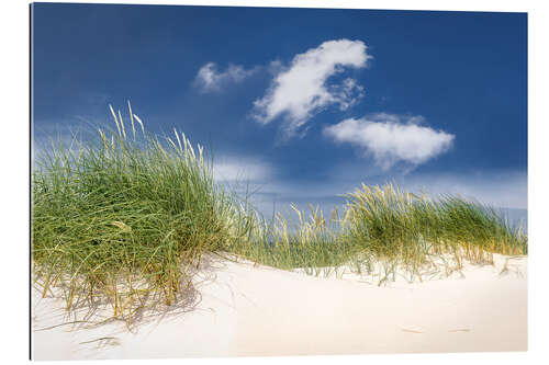 Gallery Print Sonnige Dünenlandschaft am Strand der Ostsee