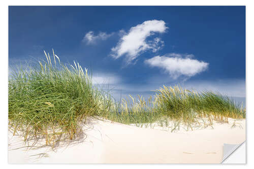 Naklejka na ścianę Sunny dune landscape on the beach on the Baltic Sea