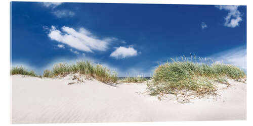 Acrylglasbild Panorama Dünenlandschaft am Strand an der Ostsee