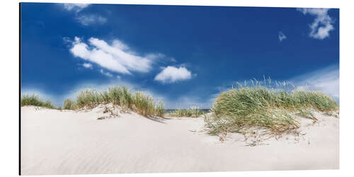 Aluminiumsbilde Panorama dune landscape on the beach on the Baltic Sea