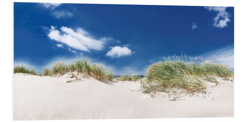 Foam board print Panorama dune landscape on the beach on the Baltic Sea