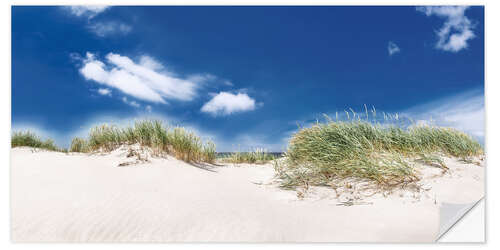 Naklejka na ścianę Panorama dune landscape on the beach on the Baltic Sea