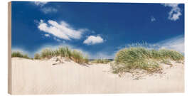 Holzbild Panorama Dünenlandschaft am Strand an der Ostsee