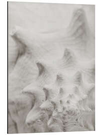 Magnettafel Weiße Muschel