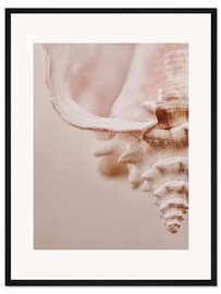 Gerahmter Kunstdruck Rosa Muschel