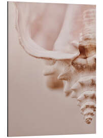 Magnettafel Rosa Muschel