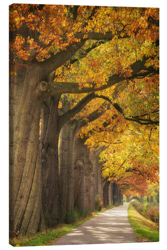 Canvas print Autumn colors